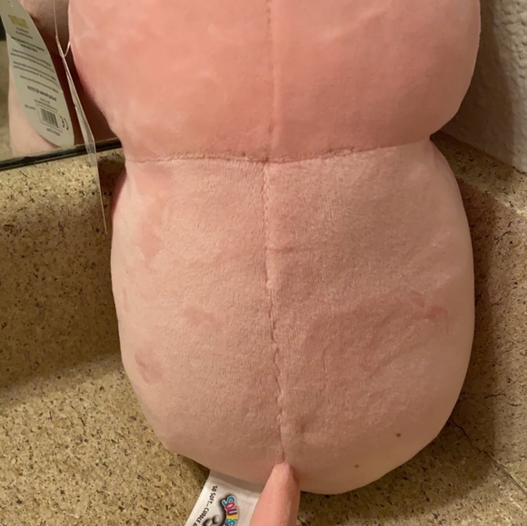 10" Valentine's Day Cat Holding a Heart EXCLUSIVE "Hug Mee" Squishmallow - Picture 13 of 13